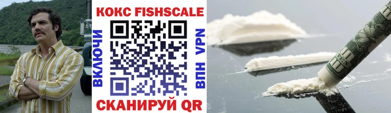 купить закладку  Задонск  COCAIN FishScale 
